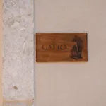 Il Vecchio Ippocastano *