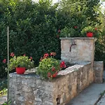 Il Vecchio Ippocastano Appartamento *