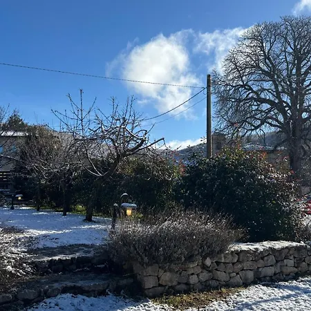 Il Vecchio Ippocastano (adults Only) Appartement Cascia