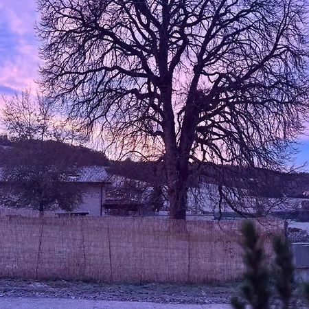 Il Vecchio Ippocastano (adults Only) * Cascia