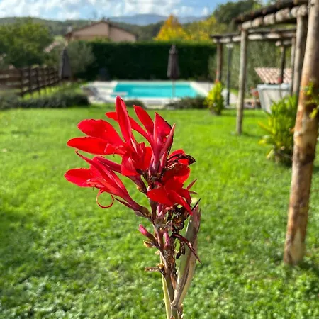 Il Vecchio Ippocastano (adults Only) Cascia