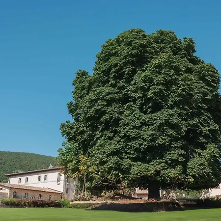 Il Vecchio Ippocastano (adults Only) *