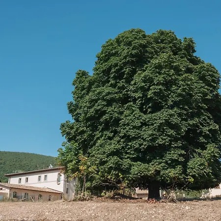 Il Vecchio Ippocastano (adults Only)