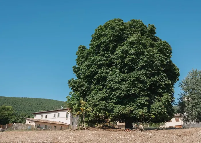 Il Vecchio Ippocastano (adults Only)